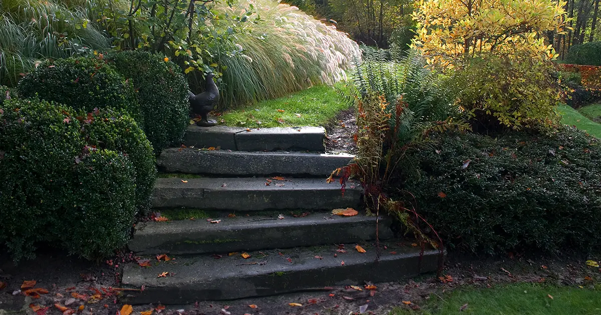 Escalier