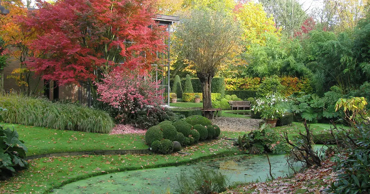 Jardin