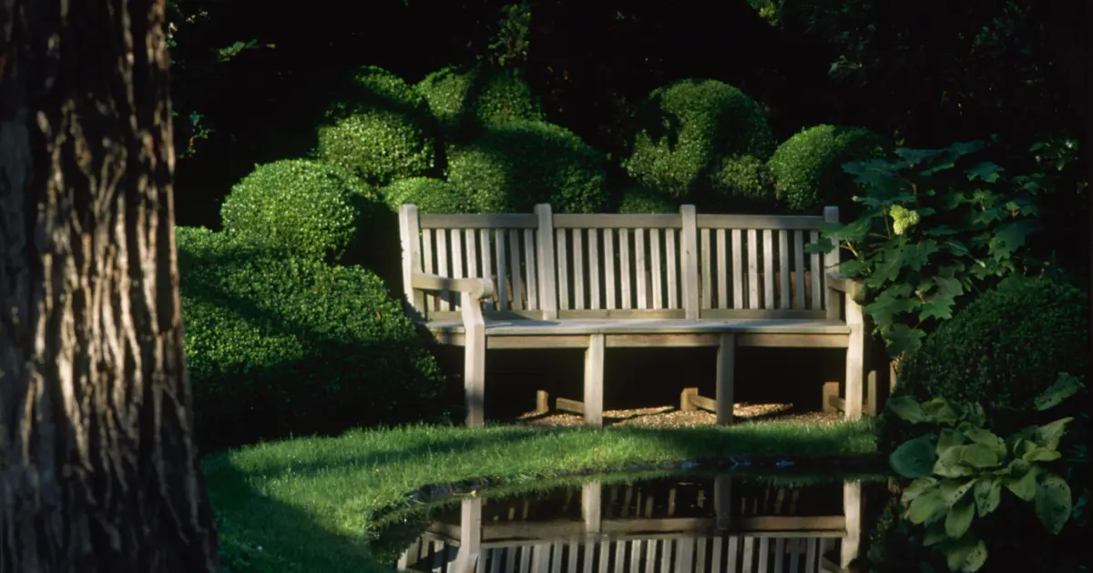 Jardin