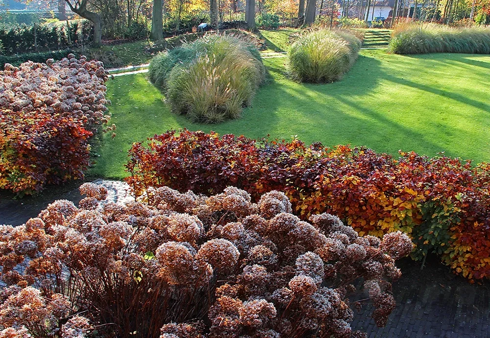 Jardin-Paradis Accueil
