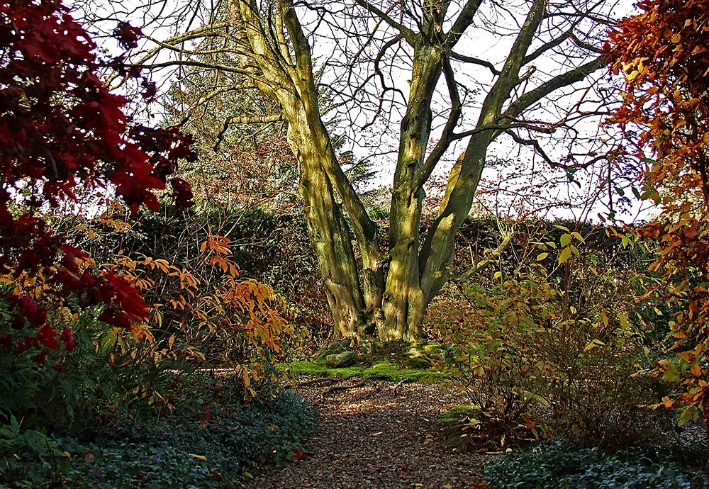 Jardin-Paradis Charme